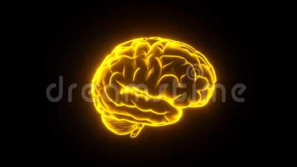大脑发光黄环视频的预览图