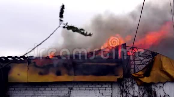 在大楼里开火房子的屋顶着火了视频的预览图
