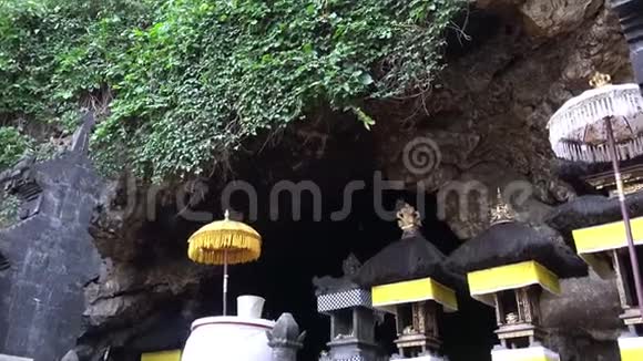 印尼蝙蝠洞墙上蝙蝠群在近距离上吊和飞行视频的预览图