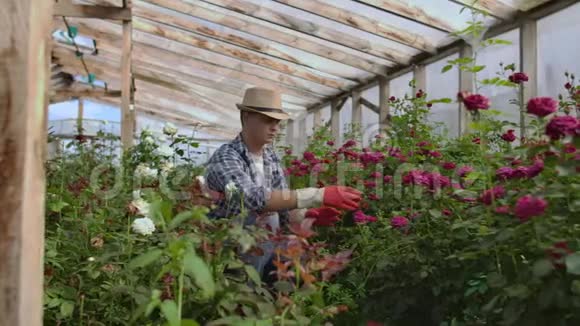 年轻人在阳光明媚的植物区系温室市场上购买装饰植物家居及花园概念视频的预览图