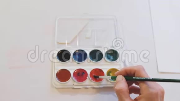 一个水彩调色板的颜色和一个女人手把刷子投入红色视频的预览图