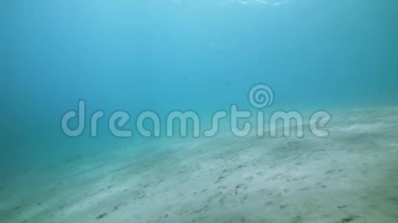 桑迪的海底阳光透过蓝色的原始水和白色的沙子视频的预览图