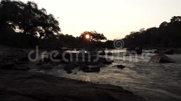 可循环的日落在河上太阳在树后面视频的预览图