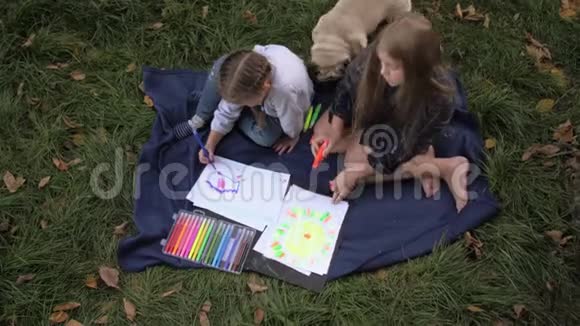 两个小女孩坐在公园的草地上用铅笔在笔记本上画画孩子们用彩色颜料画画视频的预览图