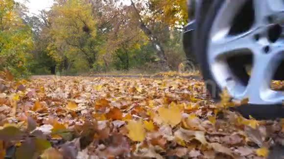 黑色SUV在公园的黄叶上沿着一条空路快速行驶五颜六色的秋叶从下面飞来视频的预览图