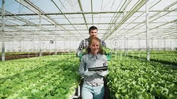 农业工程师和农场工人在绿色沙拉种植园散步视频的预览图
