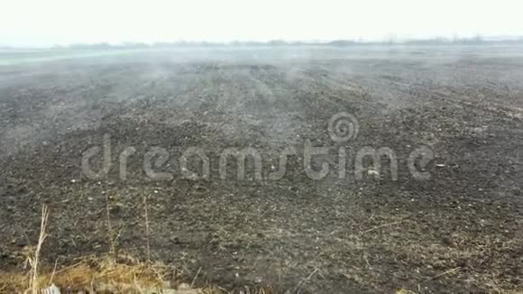 农业耕地的空中视频在那里它蒸发了雾视频的预览图