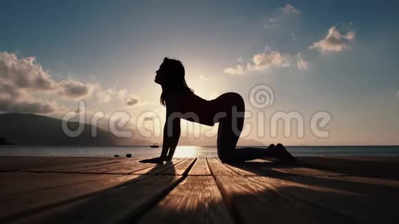 4K一个女性的剪影在海边的一个木制浮舟上做小猫运动视频的预览图