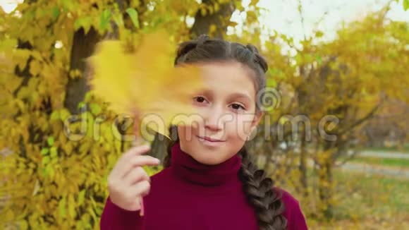 秋天公园里披着辫子的布吕内特女孩捧着枫叶黄色枫树的可爱少女肖像视频的预览图