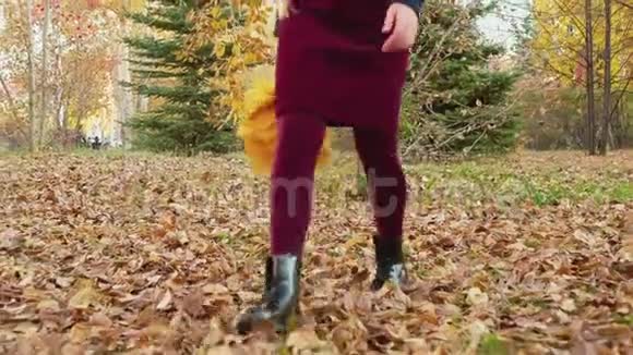 秋天公园的落叶上行走的雌腿穿着黑色靴子的少年腿踢着秋叶视频的预览图