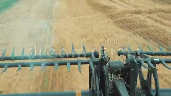 收割机割草机机构的纺纱元件在田里收割小麦视频的预览图