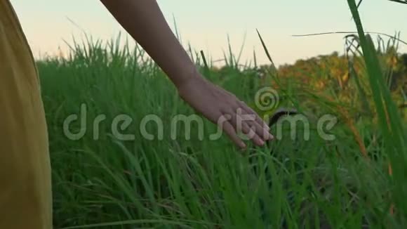 日落时分一位穿着黄色衣服的年轻女子在坎布汉岭散步或画家的超级慢镜头视频的预览图