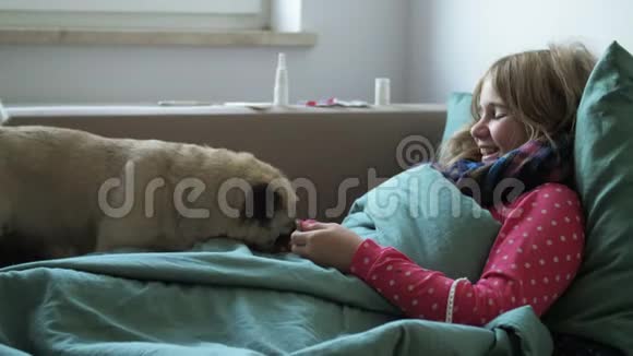 发烧的女孩和一只可爱的狗躺在家里的沙发上患有鼻炎及在床上咳嗽的患病儿童视频的预览图