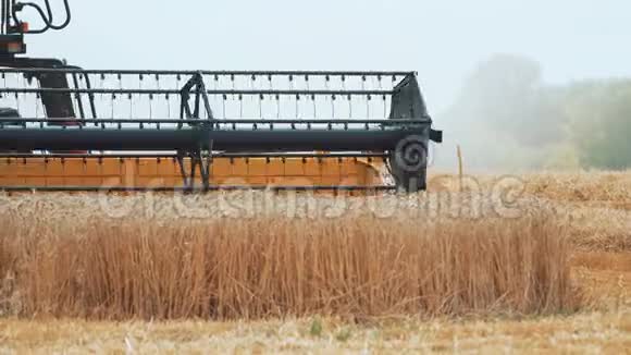 现代大型小麦组合在田间播种小穗视频的预览图