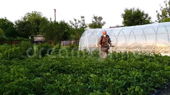 农民穿着防护服和口罩在马铃薯芽上喷洒化学物质视频的预览图