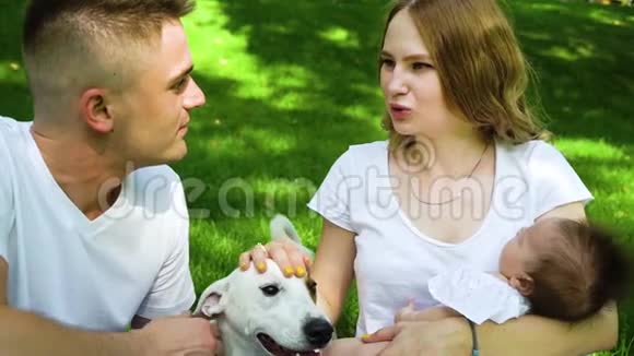 可爱的一对夫妇和小狗杰克罗素梗在公园度过一天视频的预览图