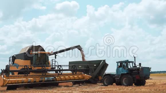 一台现代化的大型农民收割机将谷物卸入拖拉机斗中视频的预览图