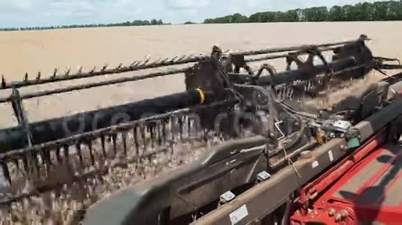 收获麦粒过程中的收割机割草机机制视频的预览图