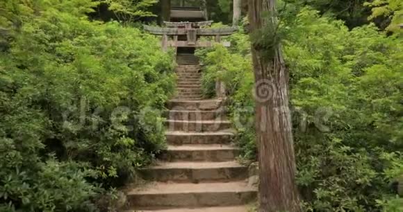 公园里通往神殿的楼梯视频的预览图