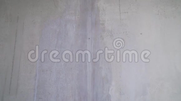 用灰色油漆的油漆滚筒把裸露的墙涂出来手绘使用油漆滚筒工作中的女画家用滚筒视频的预览图