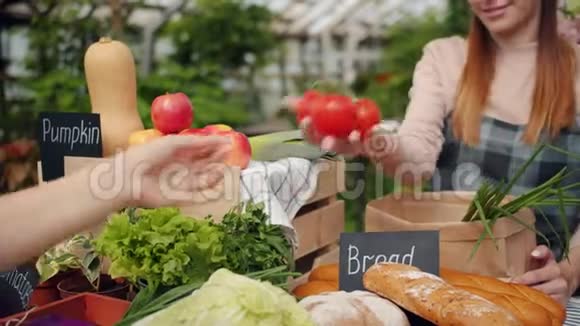 温室内农场销售期间女售货员将有机蔬菜袋装包装视频的预览图