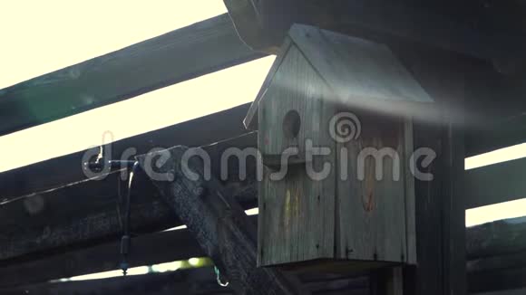 旧的筑巢箱视频的预览图