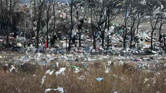 一片田野和满是散落垃圾的树木视频的预览图