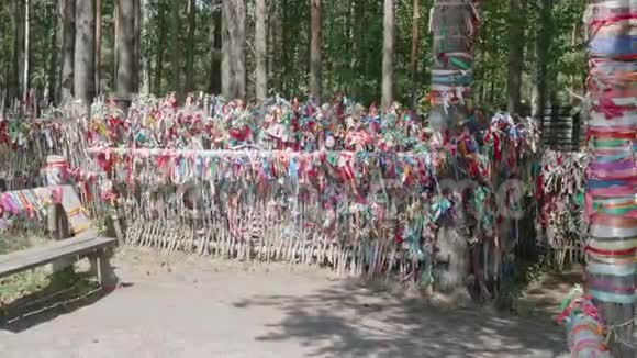 树上彩带作为新婚夫妇的象征全景视频的预览图