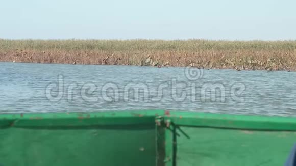 水和芦苇的景色形成了绿色的小船在河上缓缓航行在河边旅行视频的预览图