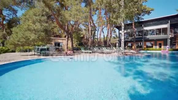 鸟瞰无人居住的游泳池周围是杉树视频的预览图