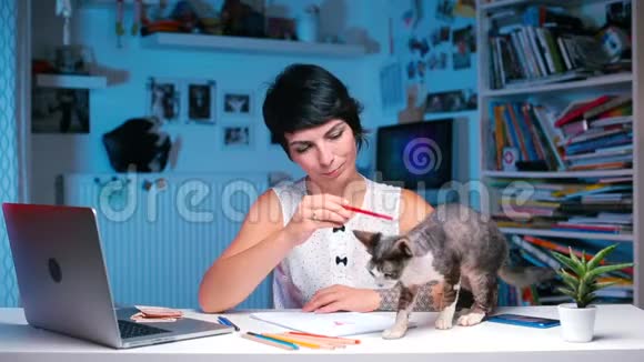 坐在桌子旁的女孩和一只德文雷克斯猫玩耍视频的预览图