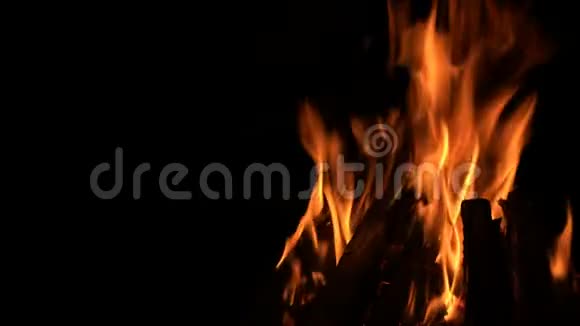 烧烤炉用的木制火视频的预览图