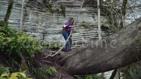 一个穿着便服的女孩爬上一棵厚厚的倒下的树坐在它的背景下山视频的预览图