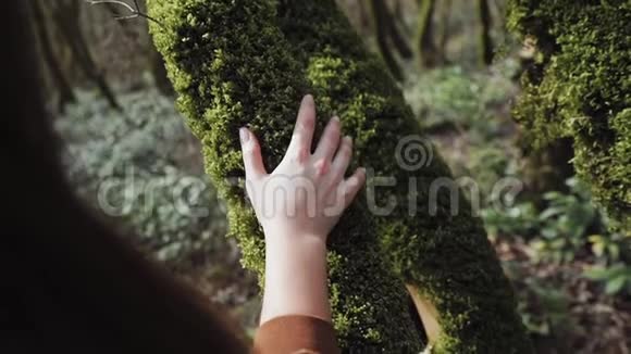 一个女孩正用手抚摸长满苔藓的树干视频的预览图