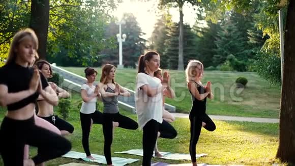 一群年轻女性正在公园晨练瑜伽姿势日出时在树上视频的预览图