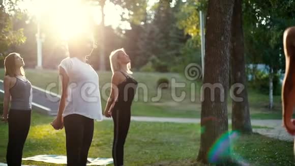 一群年轻女性在日出的时候在公园里做一个弯曲的早晨视频的预览图
