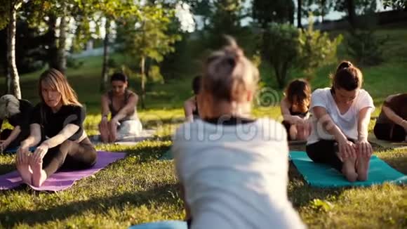 夏季公园里的一群年轻女性在瑜伽垫上伸展双腿视频的预览图