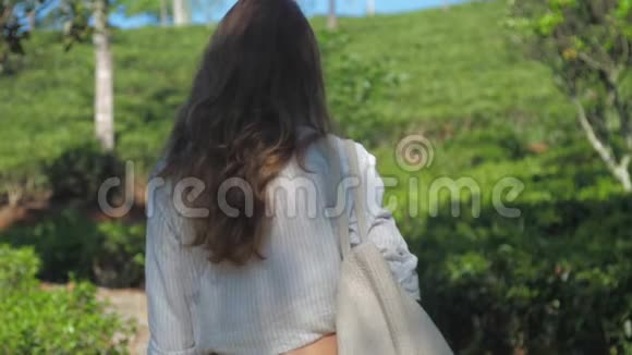 带手提包的女人走在阳光公园慢动作视频的预览图