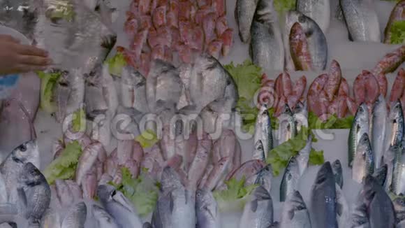 在一个卖鱼的柜台钓鱼视频的预览图