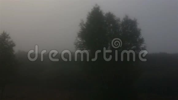 秋天的天气田野里浓雾密布视频的预览图