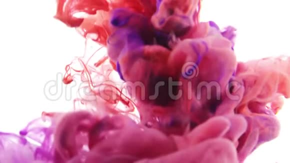 红色和紫色的墨水视频的预览图