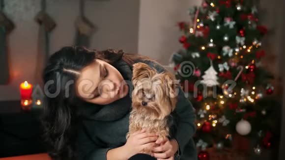 在新年圣诞节室内的亚洲年轻女子和有趣的小狗玩耍家庭舒适的概念新年和视频的预览图