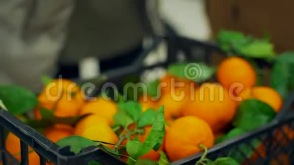 一个女人在超市里选择带绿色树枝的橘子视频的预览图