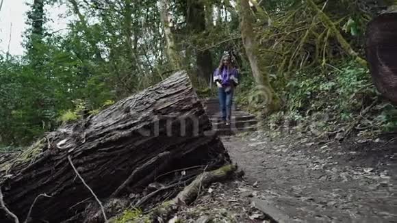 女孩正开心地沿着森林小径走过一棵巨大的锯树视频的预览图