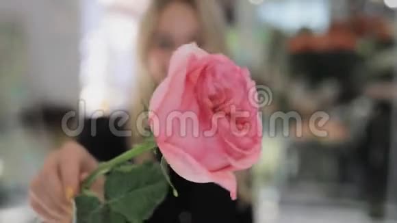 花商女人闻着粉红色的玫瑰视频的预览图