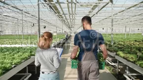 农业工人背着一盒绿色沙拉的背影视频的预览图