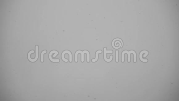 灰色背景暮色中降雪的足迹视频的预览图