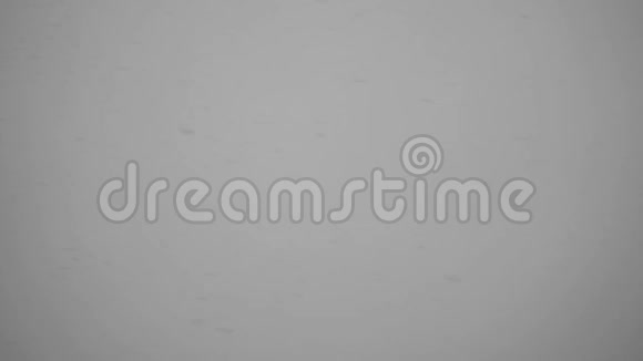 灰色背景下黄昏降雪的画面视频的预览图