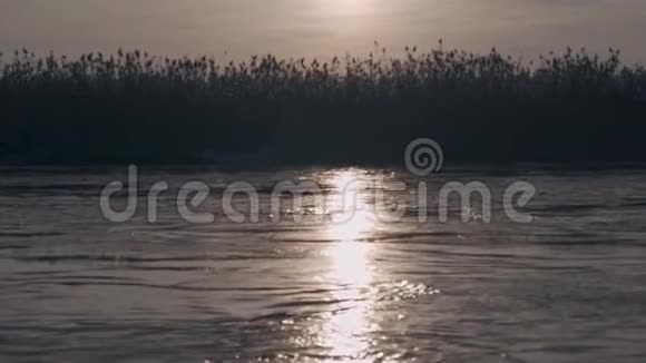 日落时分一艘小船沿着河快速行驶视频的预览图