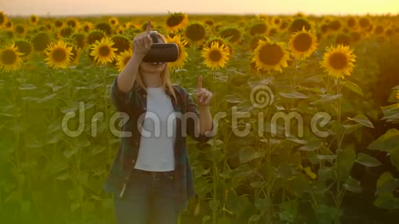 日落时分这位女士正在大自然中的VR眼镜中工作视频的预览图